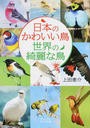 日本のかわいい鳥世界の綺麗な鳥