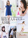 原色美人キャスター大図鑑 原色美人キャスター大図鑑