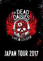 ҤŻҽҤΥϥ֥åɽŹhontoۤ㤨THE DEAD DAISIES LIVE  LOUDER JAPAN TOUR 2017ɡפβǤʤ2,200ߤˤʤޤ