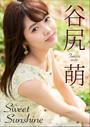 ҤŻҽҤΥϥ֥åɽŹhontoۤ㤨ë˨ Sweet SunShineפβǤʤ660ߤˤʤޤ