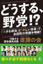 書籍と電子書籍のハイブリッド書店【honto】で買える「どうする、野党!? 「大きな政治」と「新しい改革」で、永田町の常識を喝破!」の画像です。価格は1,140円になります。