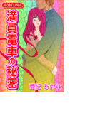 満員電車の秘密(バレンタインノベルズ)