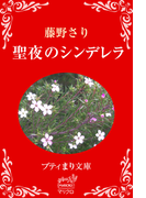 プティまり文庫 聖夜のシンデレラ(プティまり文庫)