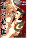 龍の愛撫(ステラ★ノベル)