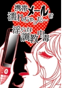 携帯メールで濡れちゃった…淫らな調教中毒(ラブきゅん文庫)