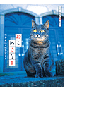ねこめぐり 1