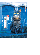 ねこめぐり 3