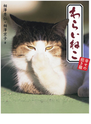 わらいねこ 幸せの招き猫