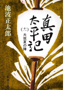 真田太平記(十一)大坂夏の陣