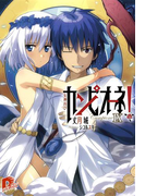 カンピオーネ! IX 女神再び(集英社スーパーダッシュ文庫)