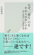 なぜ、「怒る」のをやめられないのか 「怒り恐怖症」と受動的攻撃 (光文社新書)(光文社新書)