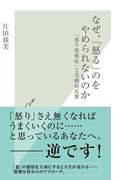 なぜ、「怒る」のをやめられないのか~「怒り恐怖症」と受動的攻撃~(光文社新書)