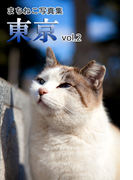 まちねこ写真集・東京 vol.2(ニャンと猫ねこ)