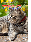 まちねこ写真集・フランス(ニャンと猫ねこ)