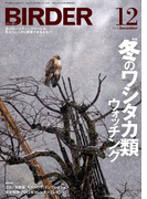 BIRDER 2012年 12月号