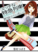 エッチな特急列車~旅先で出会ったイケメンと恋人ごっこ!?~(感じちゃう恋の本棚)