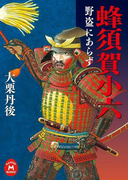 蜂須賀小六 野盗にあらず(学研M文庫)