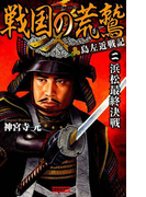 戦国の荒鷲 2(歴史群像新書)