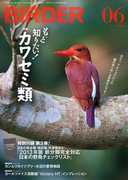 BIRDER 2013年 6月号