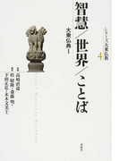シリーズ大乗仏教 ４ 智慧／世界／ことば