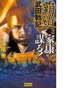覇道武田戦記2(歴史群像新書)