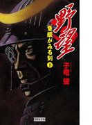 野望 隻眼がみる刻 下(歴史群像新書)