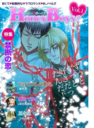 ハニーボーイズ Vol.1~禁断の恋~(秘蜜の本棚)