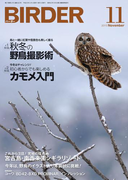 BIRDER 2013年 11月号