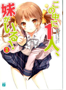 この中に1人、妹がいる! 2(MF文庫J)