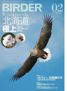 BIRDER2014年2月号