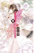 聖女の結婚III 策士恋に落ちる(C★NOVELS)