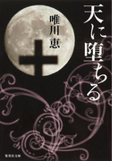 天に堕ちる(集英社文庫)