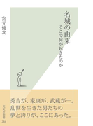 名城の由来~そこで何が起きたのか~(光文社新書)