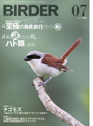 BIRDER2014年7月号