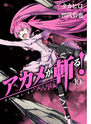 アカメが斬る! 10巻
