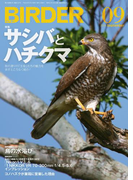 BIRDER2014年9月号