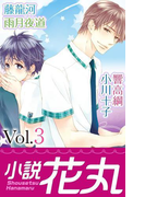 小説花丸 Vol.3(小説花丸)