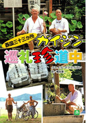 西国三十三か所 ガイジン巡礼珍道中(小学館文庫)(小学館文庫)