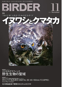 BIRDER2014年11月号