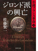 ジロンド派の興亡 小説フランス革命 10(集英社文庫)