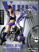 VIBES【バイブズ】2015年3月号(VIBES)
