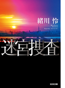 迷宮捜査(光文社文庫)