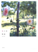 花の本(集英社女性誌eBOOKS)