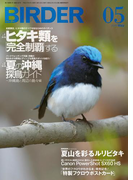 BIRDER2015年5月号