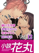 小説花丸 Vol.12(小説花丸)