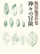 梅原猛著作集18 神々の冒険