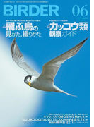 BIRDER2015年6月号