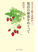 復活の秘義をめぐって