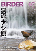 BIRDER2015年7月号