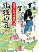 牝狐の夏(二見時代小説文庫)